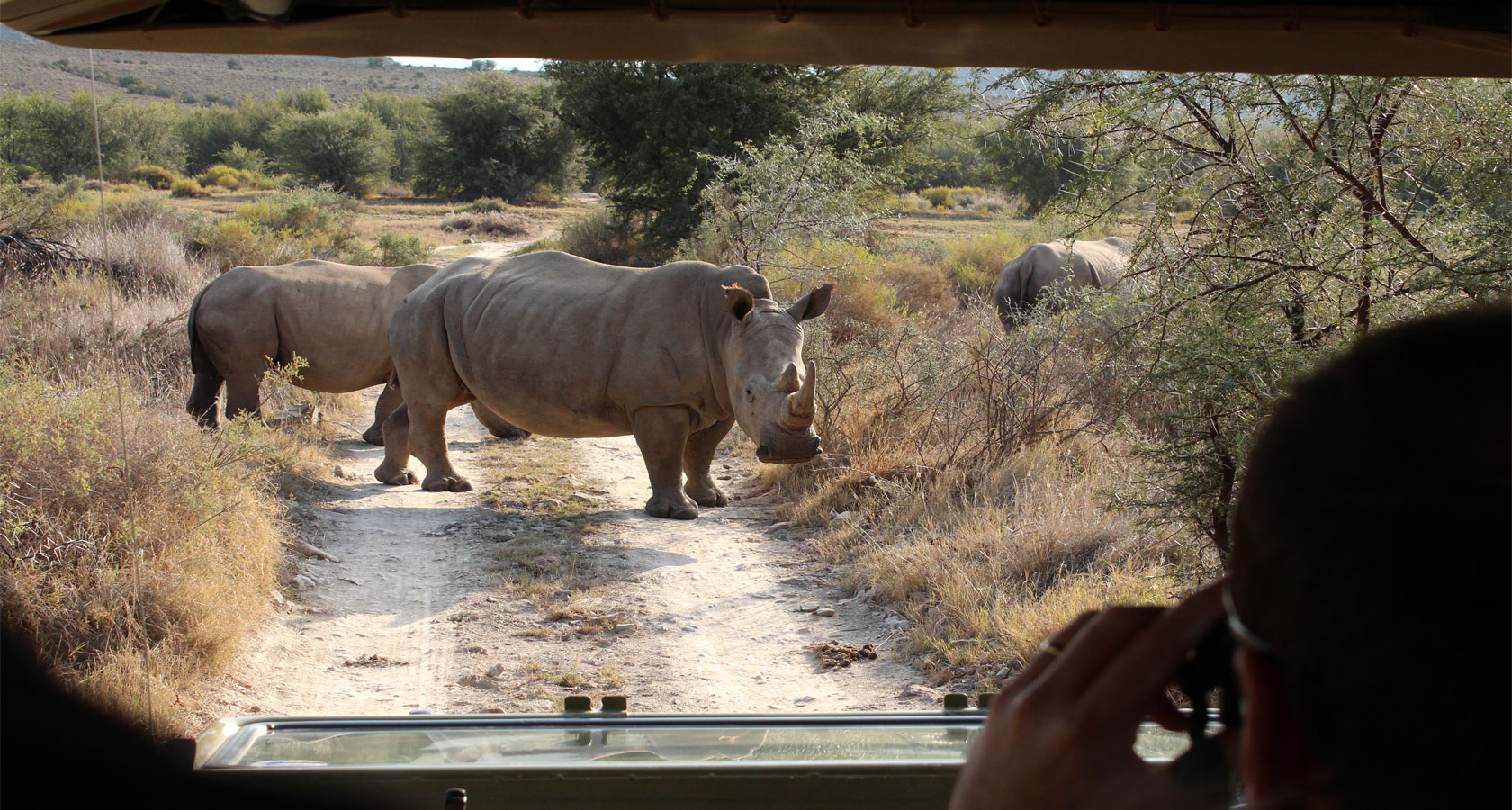 https://bestafrica.bluesuntravel.com/wp-content/uploads/2019/11/BEST-AFRICA-rhino-from-game-vehicle.jpg