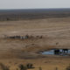 BEST AFRICA view of wareting holes https://bestafrica.bluesuntravel.com/wp-content/uploads/2019/11/BEST-AFRICA-view-of-wareting-holes.jpg